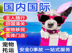 贵阳龙洞堡机场物流国际宠物托运 【国